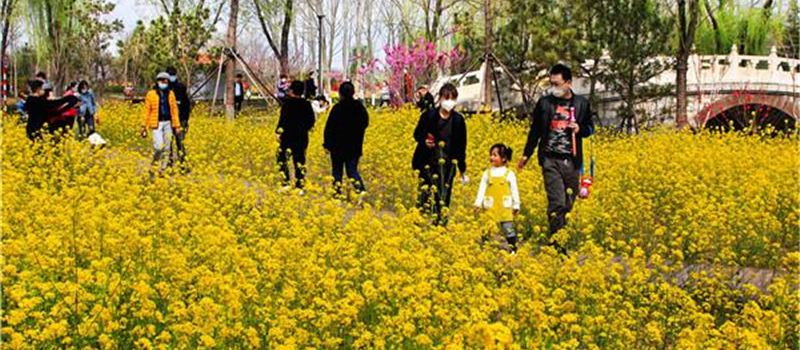 Fenghuangyuan Agricultural Sci-tech Park