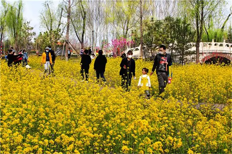 Fenghuangyuan Agricultural Sci-tech Park