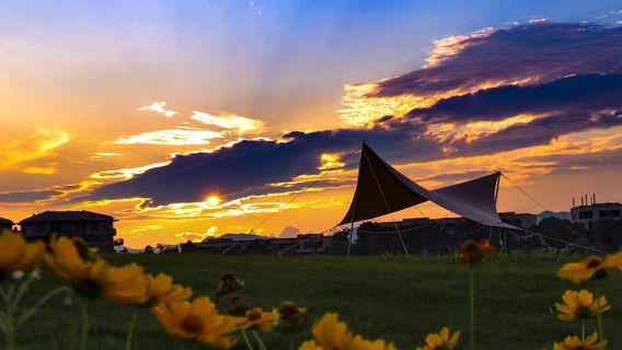 Senhai Wild Luxury Tent Camp