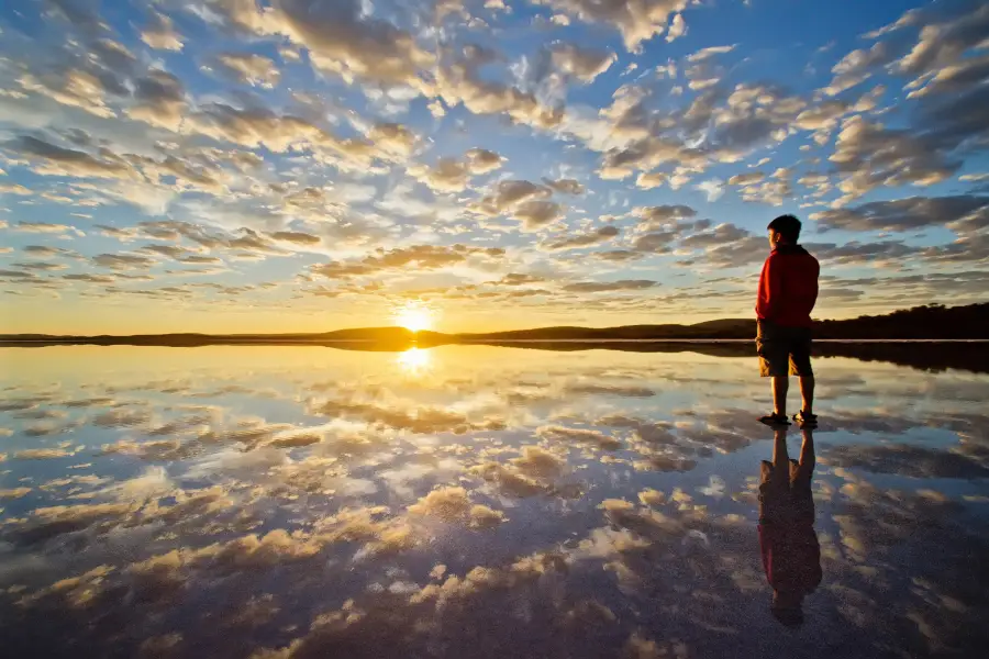 Lake Gairdner National Park