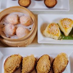 御寶軒（天滙igc店）張用戶圖片
