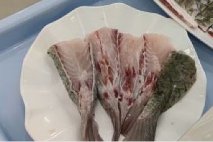 源港渔村-中山脆肉皖(博罗店)