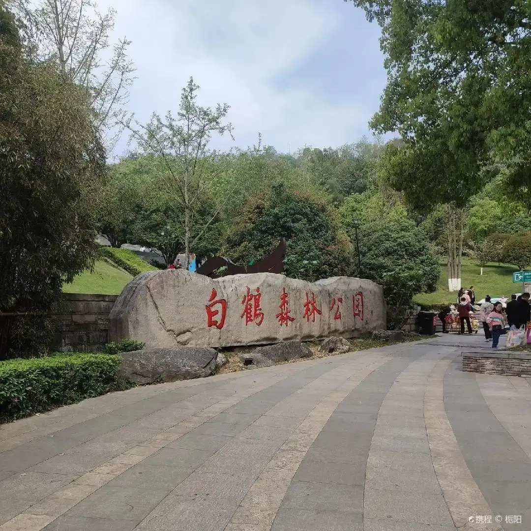 白鶴公園附近的飯店
