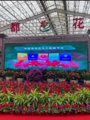 中國花卉博覽園