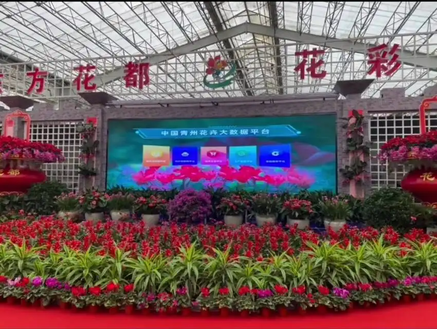 Hotels near Chinese Flower Expo Park