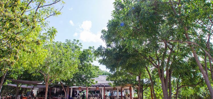 Catherines Café