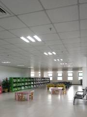 Xingbin Library