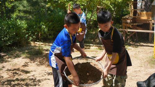 香檳壹號樹屋藝術營地