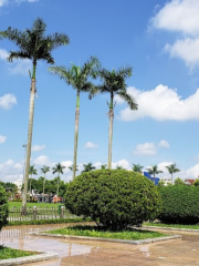 Hồ Chí Minh Square