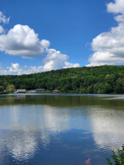 Naturpark Junger Wald Hermannstadt