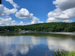 Naturpark Junger Wald Hermannstadt