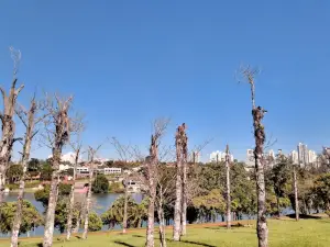 José de Azevedo Park