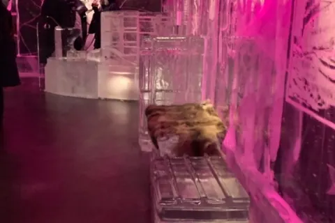 Icebar by Icehotel Stockholm