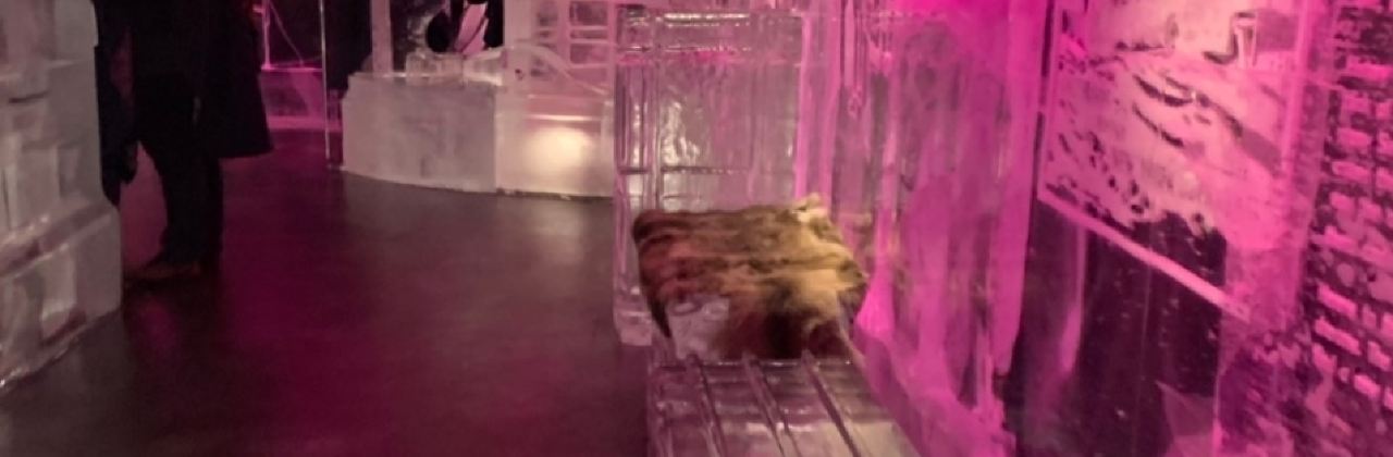 ICEBAR Stockholm by ICEHOTEL