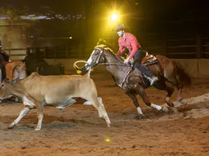 Australian Outback Spectacular