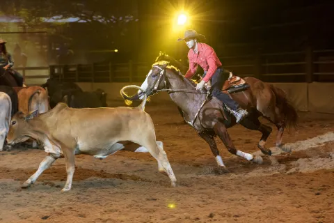 Australian Outback Spectacular