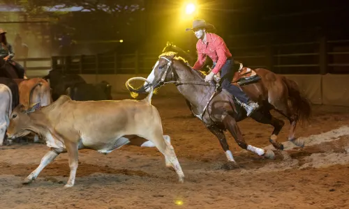 Australian Outback Spectacular