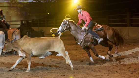 Australian Outback Spectacular
