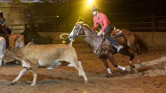 Australian Outback Spectacular