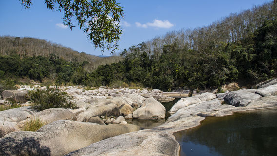 Bạch Sa