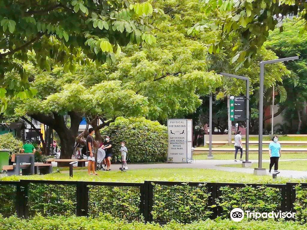 Legazpi Active Park