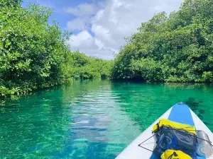 Popular Water Fun Attractions in Tulum