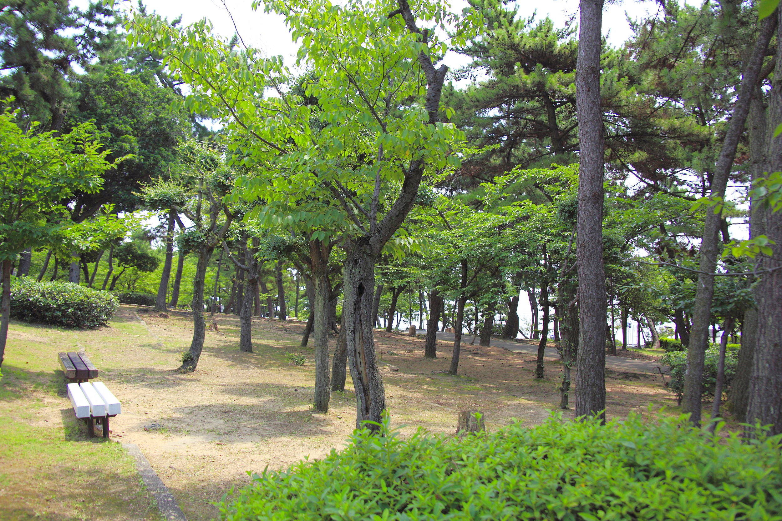 西宮北口 須磨浦公園 西宮北口から須磨浦公園までの乗換案内 - NAVITIME