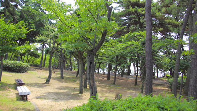 Sumaura Park
