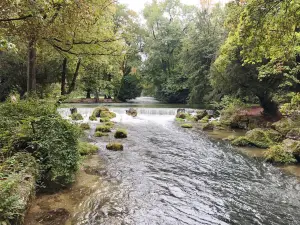 Eisbachwelle