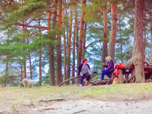 Dzintari Forest Park