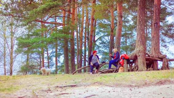 Dzintari Forest Park