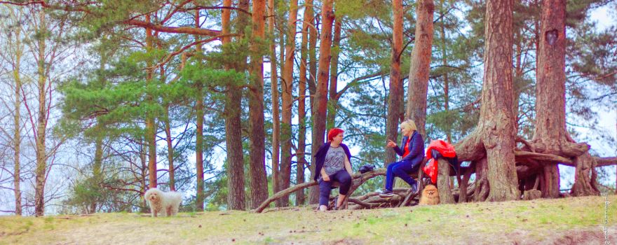 Dzintari Forest Park