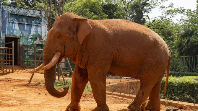 5_昆明動物園