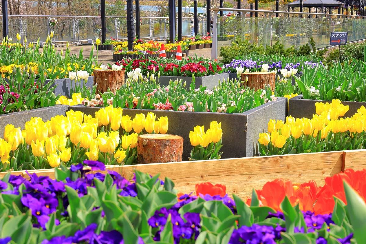 米子自由行, 鳥取花回廊