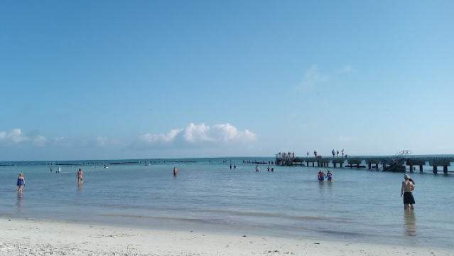 Clarence S.Higgs Memorial Beach