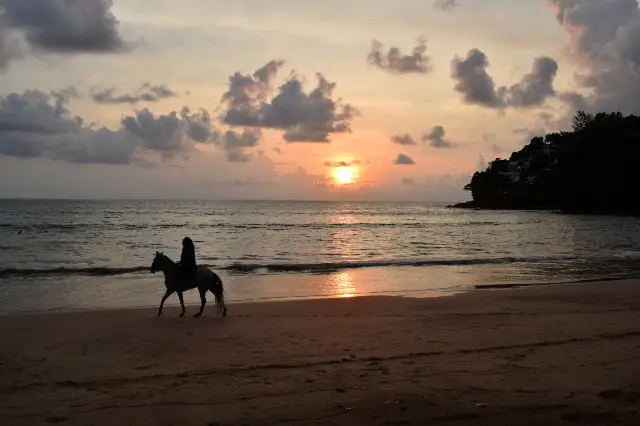 Horse Riding in Phuket