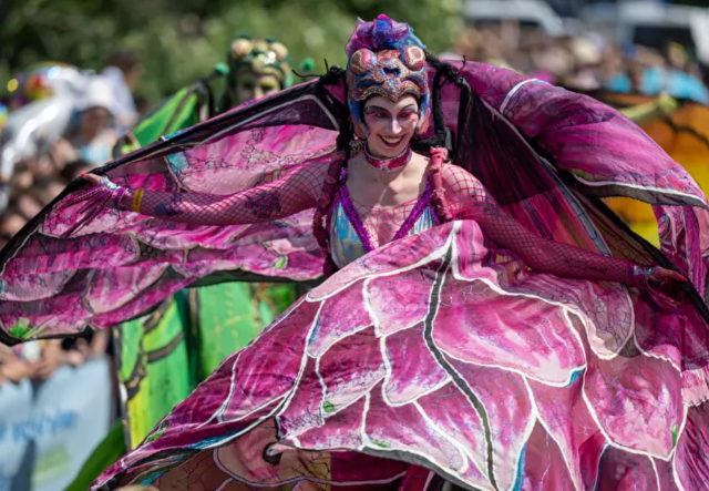 Carnival of Cultures Berlin | Berlin