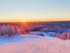Mustavaara
