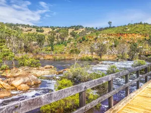 Swan Valley