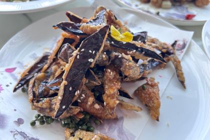 QIANXI CLOUD RESTAURANT