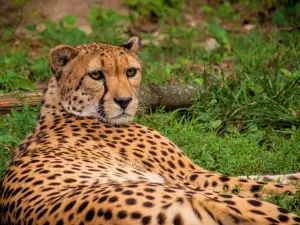 Philadelphia Zoo