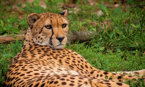 Philadelphia Zoo
