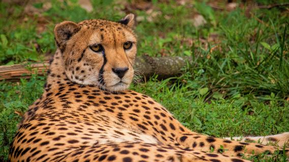 Philadelphia Zoo