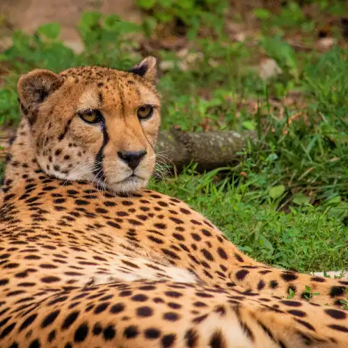 Popular Family-friendly Attractions in Philadelphia