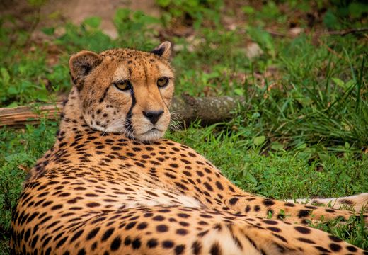 Philadelphia Zoo
