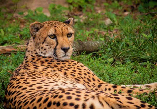 Philadelphia Zoo