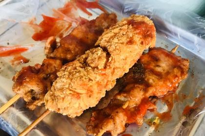 ZUN PIN XIANG ZHA LI JI