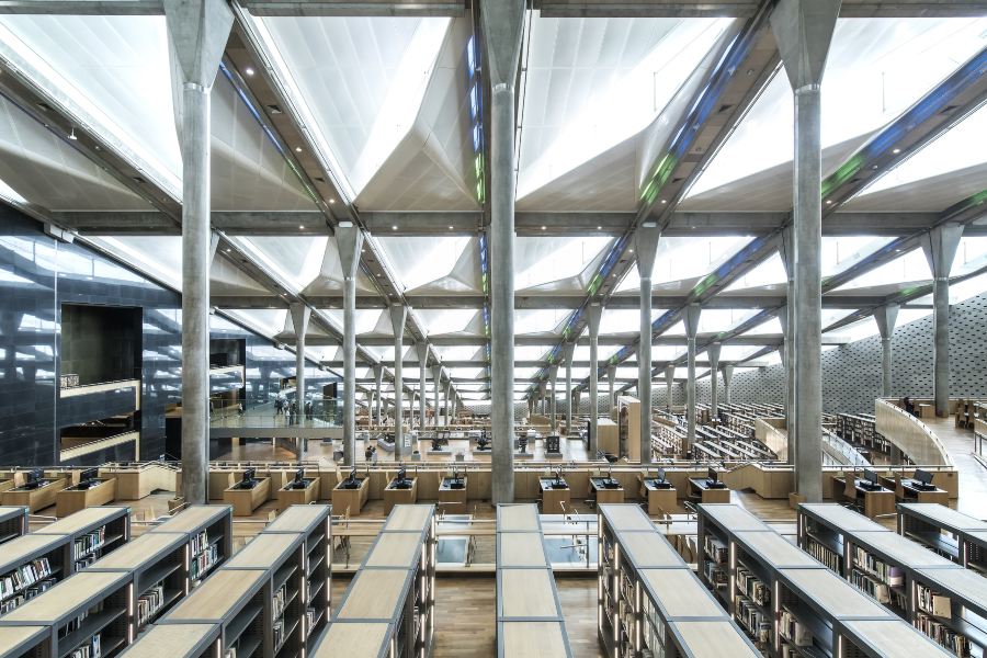 亞歷山大圖書館