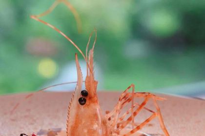 青寂溪谷半山酒店·枫见餐厅