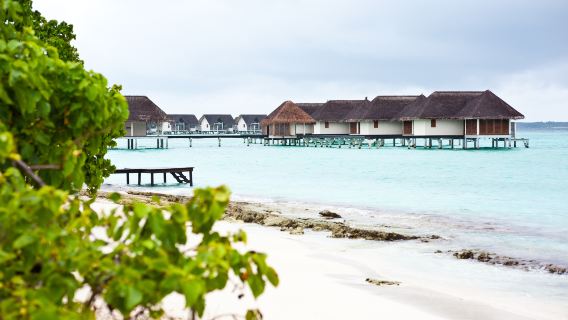 Landaagiraavaru